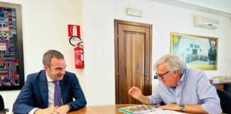 ‘Ndrangheta, Occhiuto incontra De Masi “Vicini a chi si ribella”