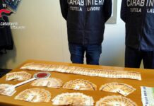 Scoperti a Teramo 186 “furbetti” del reddito di cittadinanza