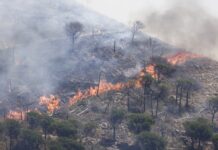Incendi, Santanchè “Ampliato stanziamento per Sicilia e Sardegna”