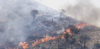 Incendi, Santanchè “Ampliato stanziamento per Sicilia e Sardegna”