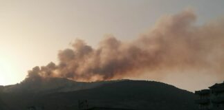 Incendi, Lagalla “Diossina a Palermo al di sotto rischio popolazione”