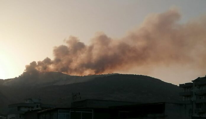 Incendi attorno Palermo che lambisce anche l aeroporto