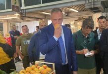 Lollobrigida a Fasano “Centrale confronto con operatori dell’ortofrutta”