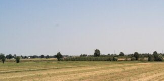 La Lituania offre un nuovo accesso per esportare il grano dall’Ucraina