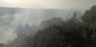Incendio nel tarantino, salvi 30 ettari di bosco