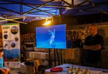 Progetto AMPPA Italia-Malta, estate di eventi a Ghajnsielem