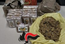 Nascondeva 2 chili di droga in casa e nel giardino, arrestato nel Napoletano