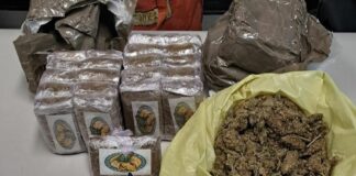 Nascondeva 2 chili di droga in casa e nel giardino, arrestato nel Napoletano