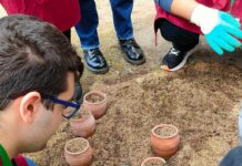 Al via i bandi per Azienda Agricola Pompei e “Horti Plinii”