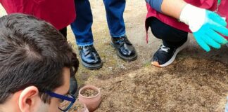 Al via i bandi per Azienda Agricola Pompei e “Horti Plinii”