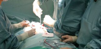 Arnas Garibaldi Catania, prelievo multiorgano da donatore a cuore fermo