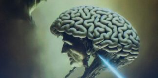 L’intelligenza artificiale minaccia 8,4 milioni di lavoratori in Italia