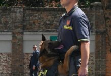 I finanzieri di Palermo donano 200 kg di mangime al canile di Bellolampo