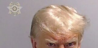 Trump imprisoned in Atlanta and released on bail