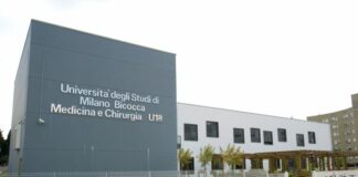 Epatite B e C, tracciate per la 1^ volta in Europa le malattie correlate