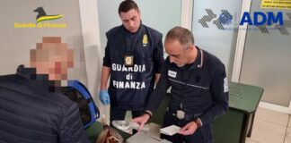 Aeroporto di Verona, scoperto traffico illecito di cuccioli dalla Russia