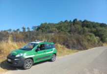 Incendi boschivi, arrestato a Rieti un piromane in flagranza di reato