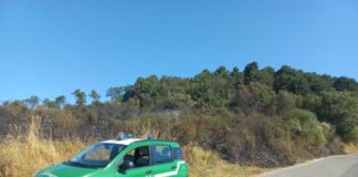 Incendi boschivi, arrestato a Rieti un piromane in flagranza di reato