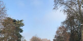 Milano, riaprono domani parco Sempione e giardini Montanelli