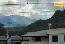Incendi in Sicilia, Protezione Civile “Non si registrano grosse criticità”