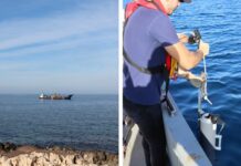 Malta-Sicilia, II interconnettore elettrico non danneggerà vita marina