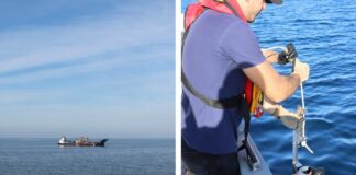 Malta-Sicily, the second interconnector will not harm marine life