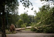 Maltempo, in Lombardia 235 milioni di danni in agricoltura