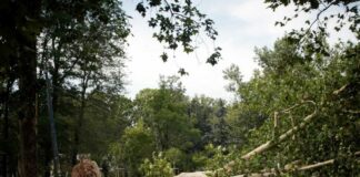 Maltempo, in Lombardia 235 milioni di danni in agricoltura