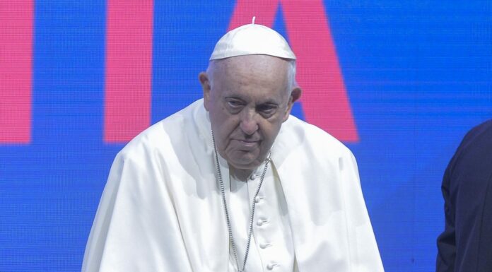 Clima, Papa “Porre fine all’insensata guerra alla nostra casa comune”