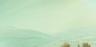 Brunori Sas, fuori a sorpresa “La vita com’è”