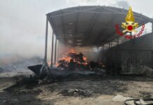 In fiamme stalla a Corleone, strage di bovini