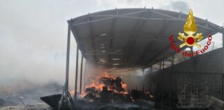 In fiamme stalla a Corleone, strage di bovini