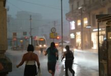 Nubifragio in Lombardia, alberi sradicati e tetti scoperchiati nel Milanese