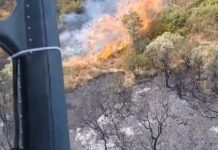 Incendi, nel nuorese 150 ettari in fiamme