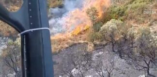 Incendi, nel nuorese 150 ettari in fiamme