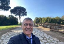 Pecoraro Scanio “I pini di Roma vanno salvati”