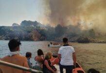 Domenica di fuoco in Sicilia, Schifani “Mani criminali dietro i roghi”