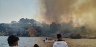 Domenica di fuoco in Sicilia, Schifani “Mani criminali dietro i roghi”