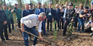 Formula 1, i Carabinieri lanciano l’iniziatva “Ogni pilota un albero”