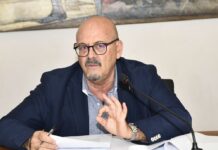 Digitale, Callari “6,4 milioni per l’attivazione Rete Pubblica in Fvg”