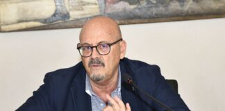 Digitale, Callari “6,4 milioni per l’attivazione Rete Pubblica in Fvg”