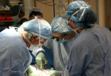 Donazione di organi al Policlinico di Palermo