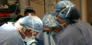 Donazione di organi al Policlinico di Palermo