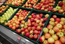 Le associazioni industriali aderiscono al patto anti-inflazione