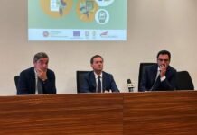 Varì “Misure concrete a favore delle Pmi in Calabria contro il caro energia”