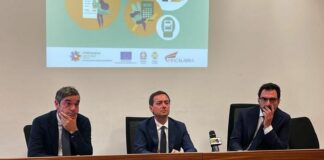 Varì “Misure concrete a favore delle Pmi in Calabria contro il caro energia”