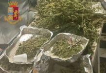 Sequestrati 97 chili di droga ad Anzio, otto arresti