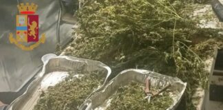 Sequestrati 97 chili di droga ad Anzio, otto arresti