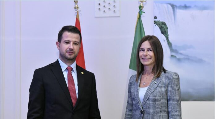 Terna, l’ad Di Foggia incontra il presidente del Montenegro