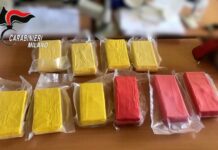 Milano, smantellata organizzazione criminale. 24 arresti